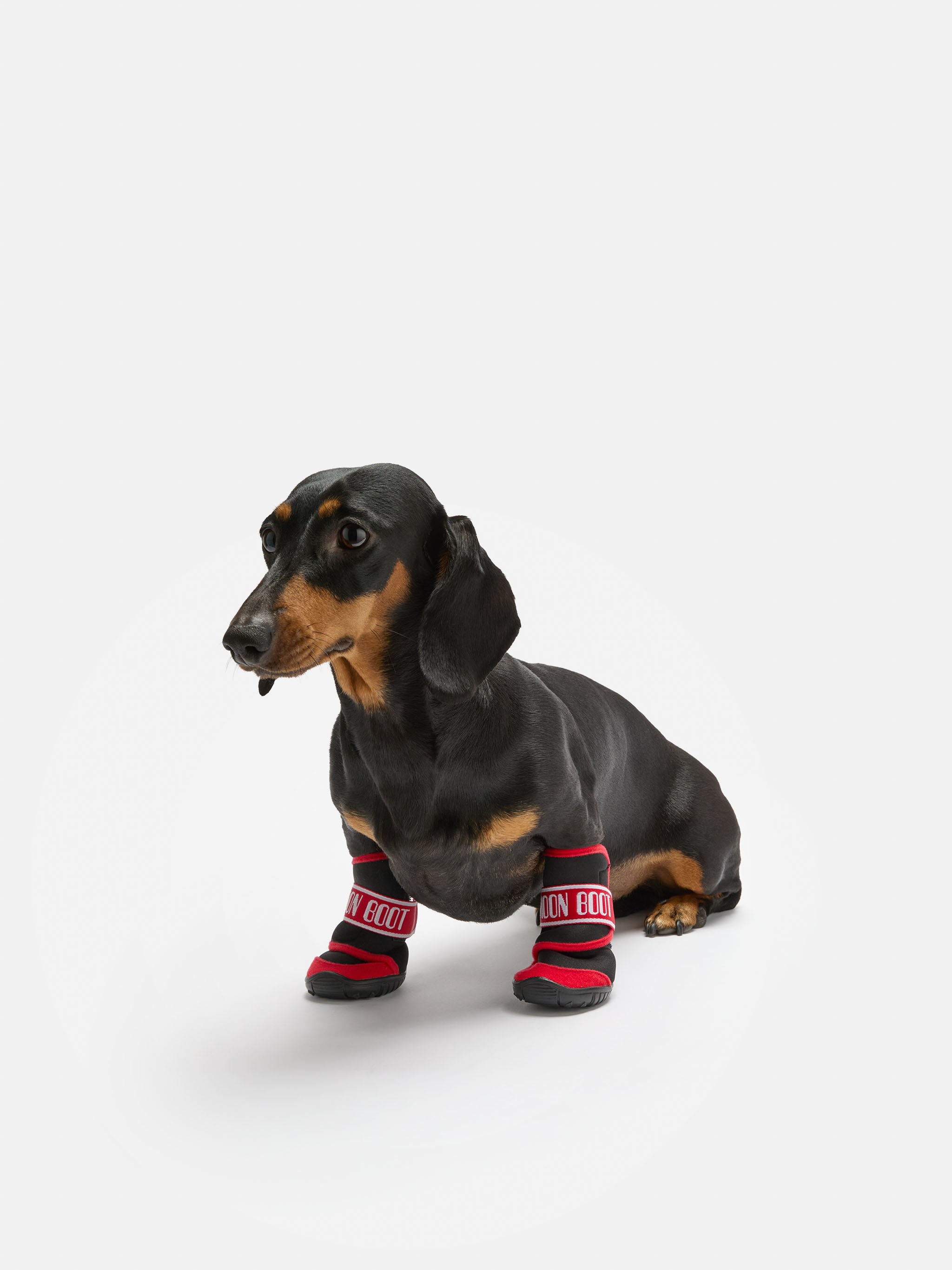 BOTTINES POUR CHIEN MOON BOOT X POLDO DOG COUTURE ROUGES